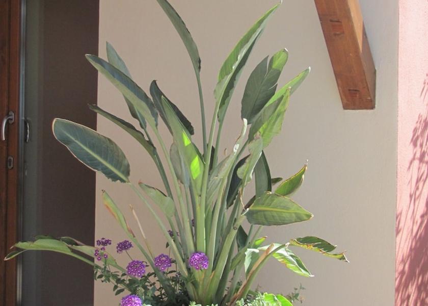 Sardinia Sarroch Exterior Detail