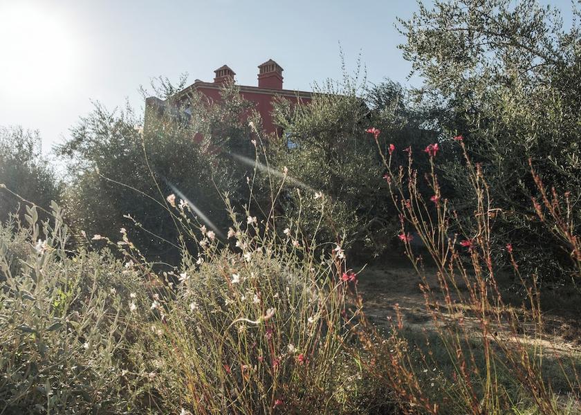 Tuscany Foiano della Chiana Facade
