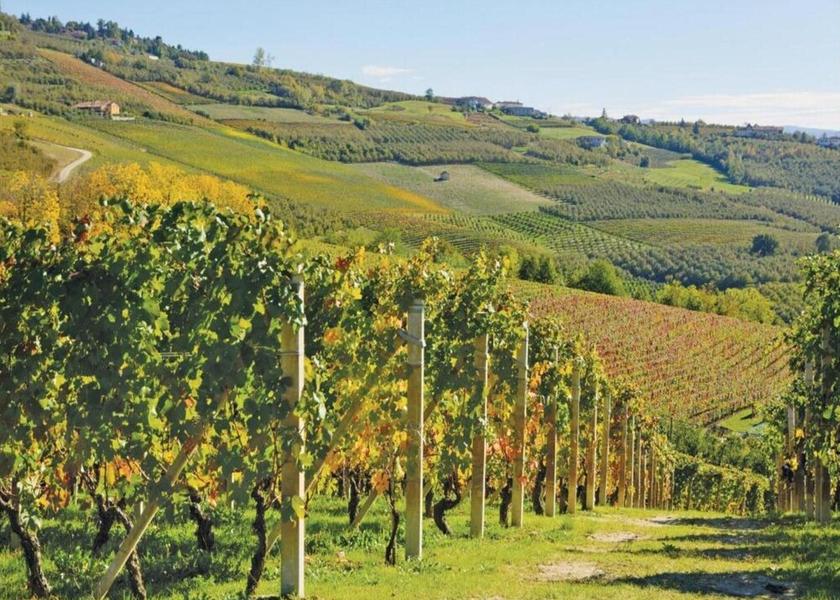 Piedmont Belvedere Langhe View from Property