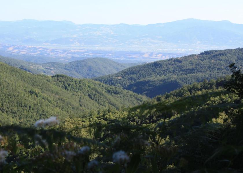 Umbria Monte Santa Maria Tiberina View from Property