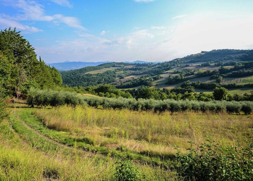 Umbria Monte Santa Maria Tiberina View from Property