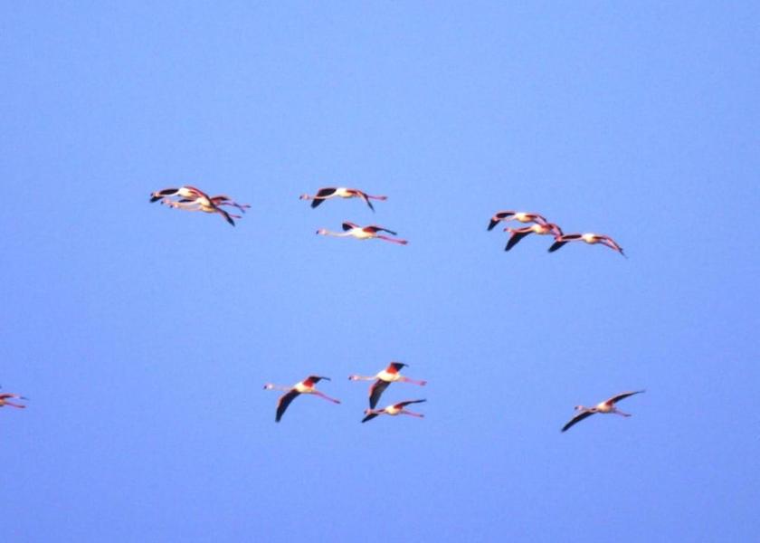 Emilia-Romagna Comacchio View from Property