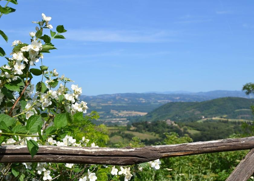 Umbria Monte Santa Maria Tiberina View from Property