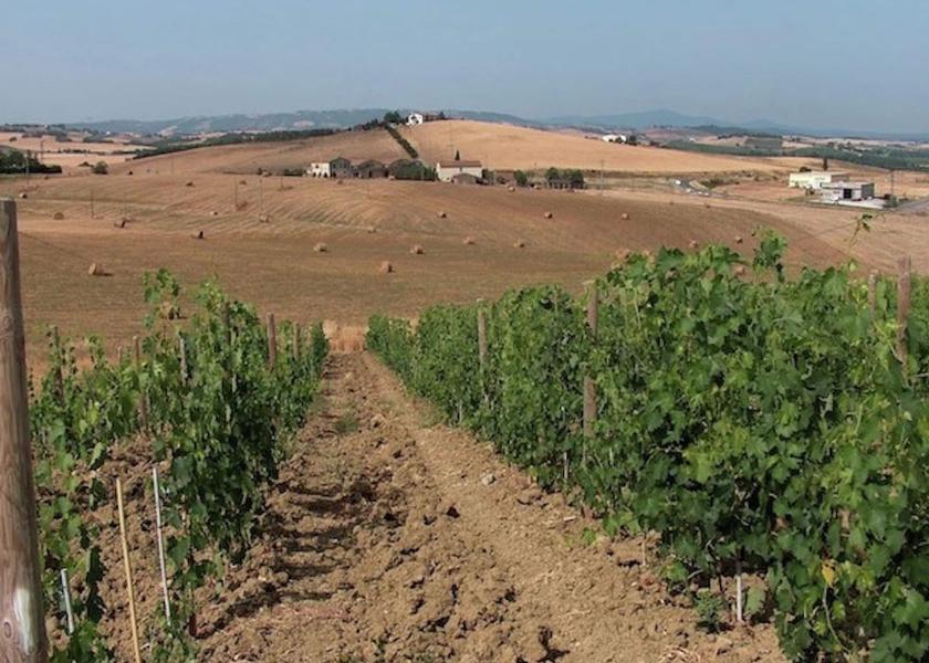 Tuscany Castel del Piano View from Property