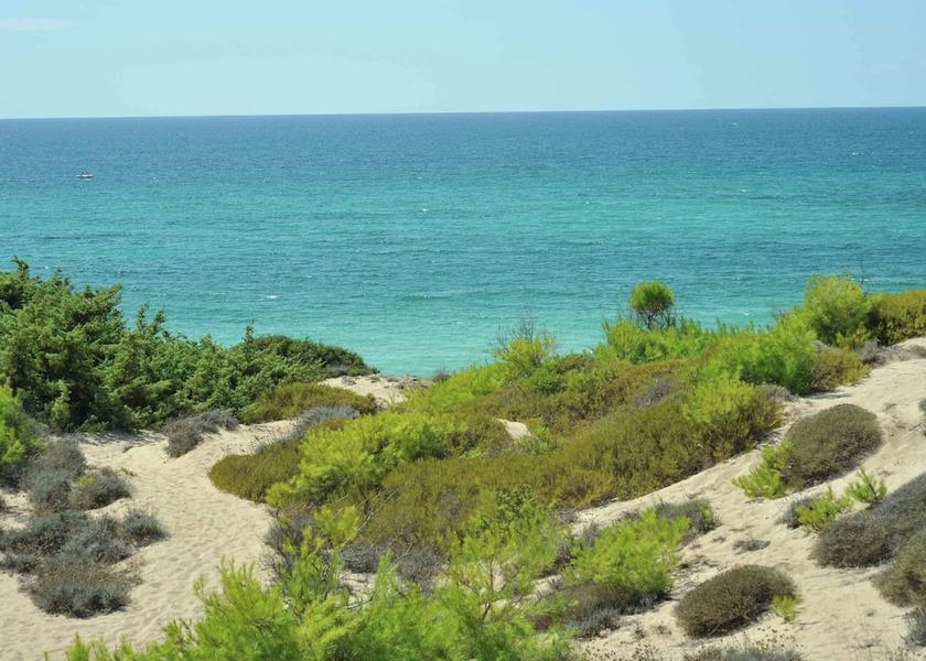 Puglia Torricella View from Property