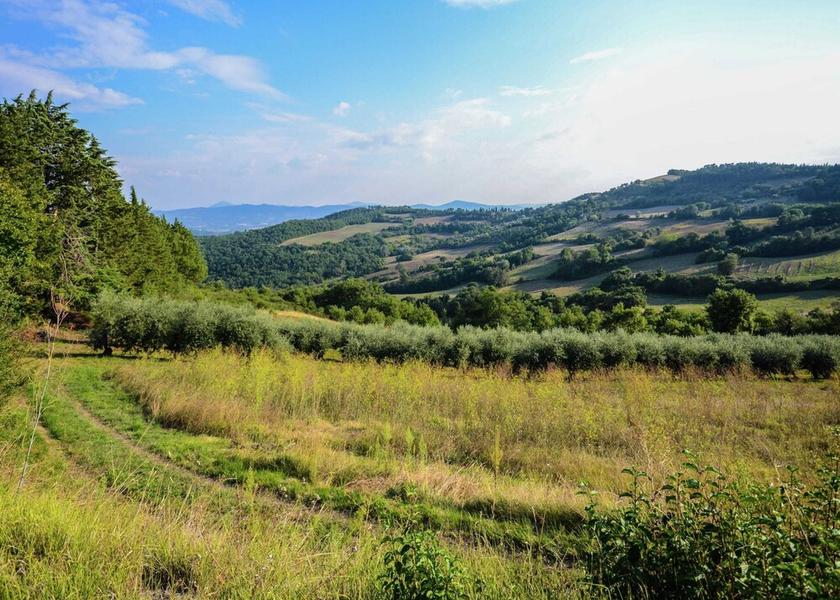 Umbria Monte Santa Maria Tiberina View from Property