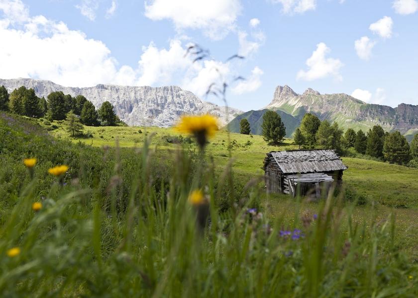Trentino-Alto Adige Fie allo Sciliar Hiking