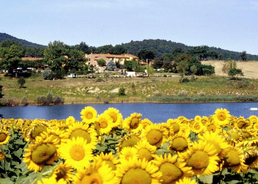 Tuscany Casole d'Elsa View from Property