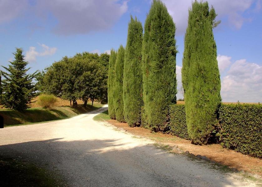 Tuscany Casole d'Elsa Exterior Detail