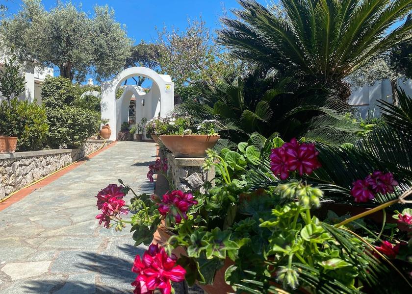 Campania Anacapri Garden