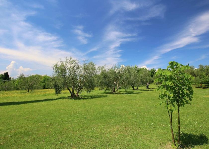 Tuscany Marciano della Chiana View from Property