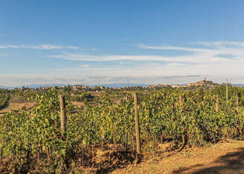 Tuscany San Miniato View from Property