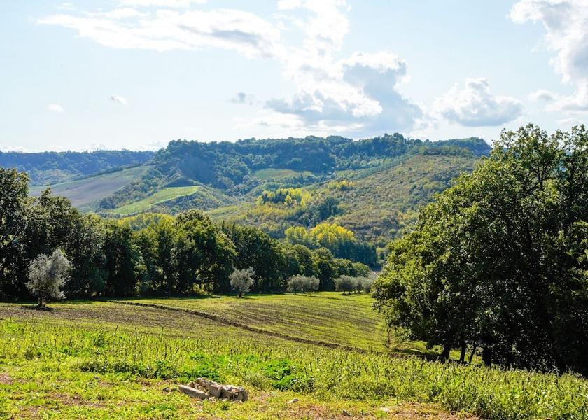 Lazio Castiglione in Teverina View from Property