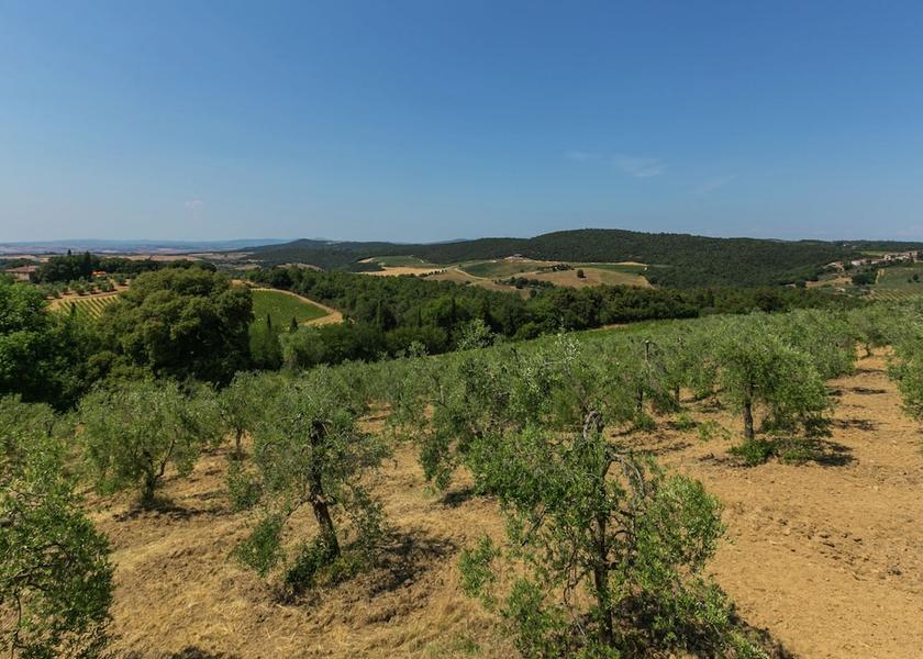 Tuscany Trequanda View from Property