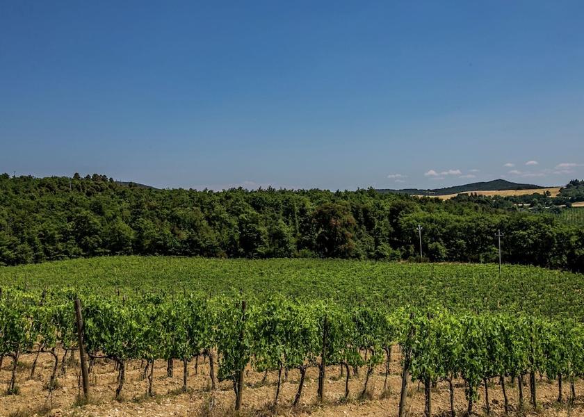 Tuscany Trequanda View from Property