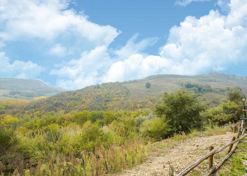 Lazio Castiglione in Teverina View from Property