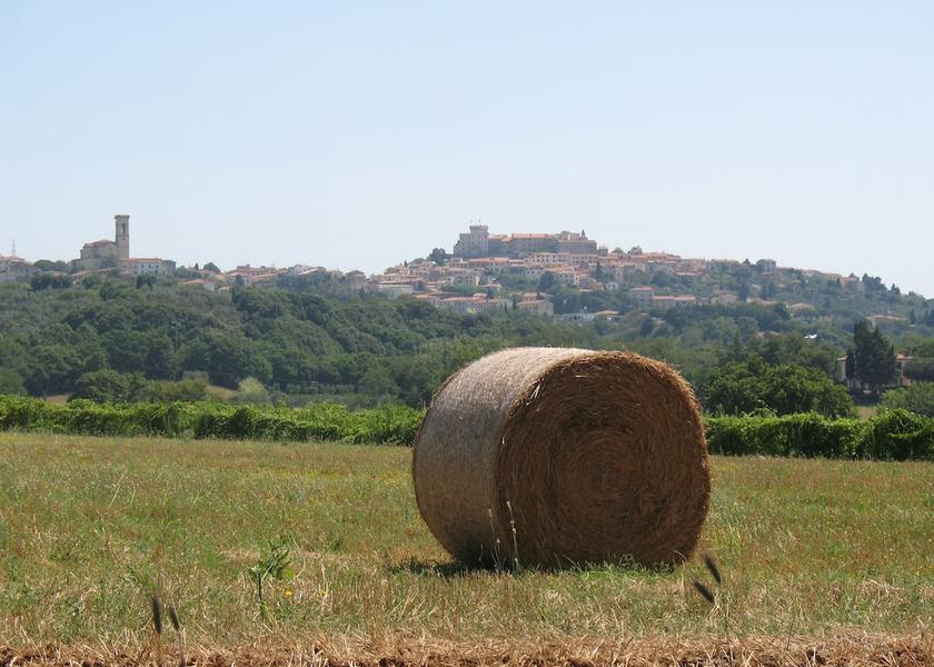 Tuscany Rosignano Marittimo Exterior Detail