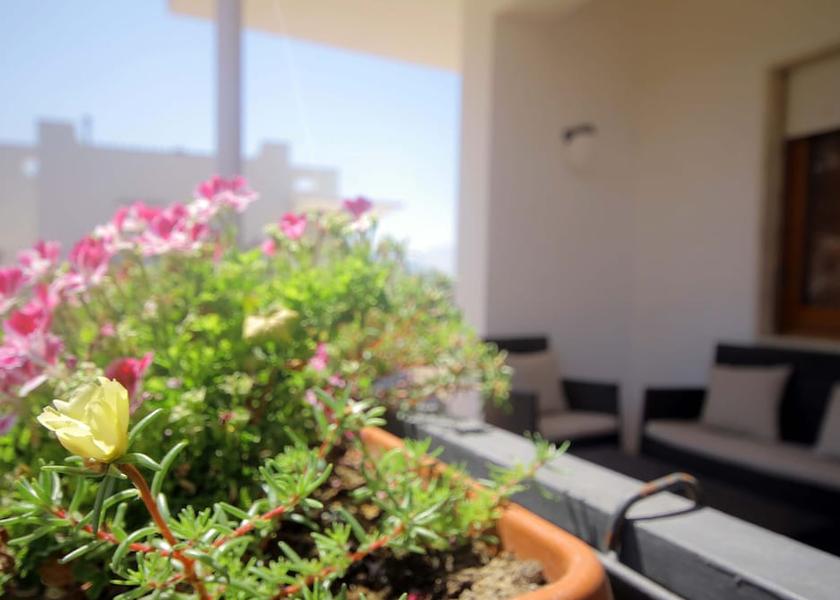 Sicily Alcamo Terrace
