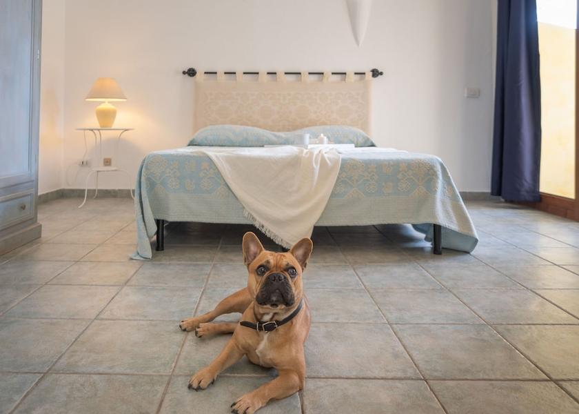 Sardinia Palau Room