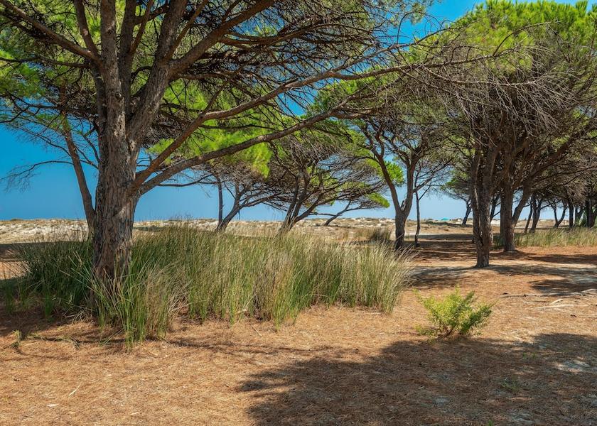 Sardinia Budoni Property Grounds