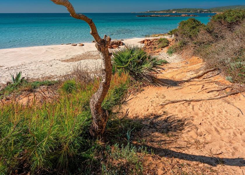 Sardinia Alghero Beach