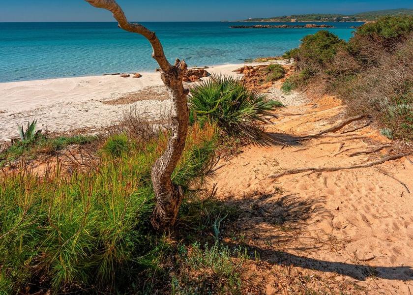 Sardinia Alghero Beach