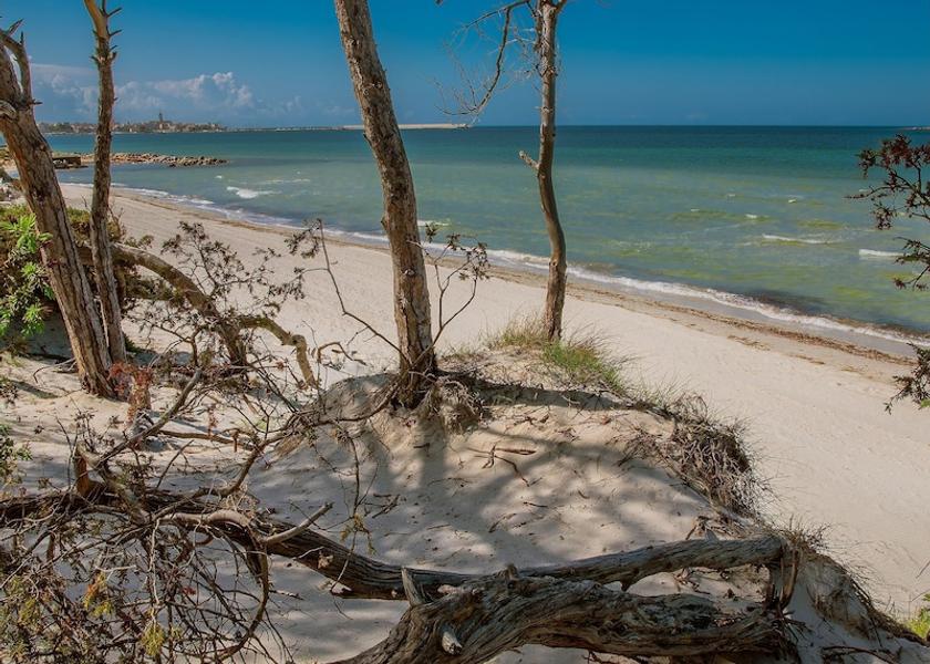 Sardinia Alghero Beach