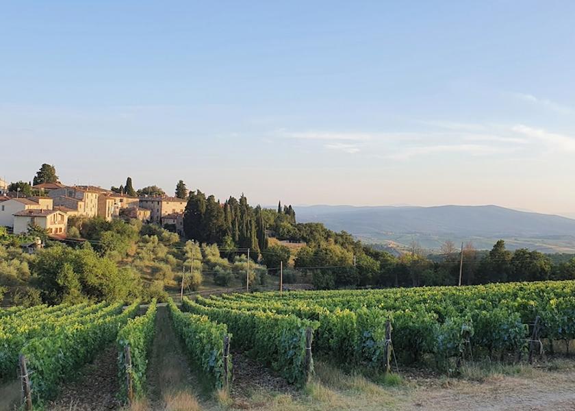 Tuscany Castellina in Chianti Exterior Detail