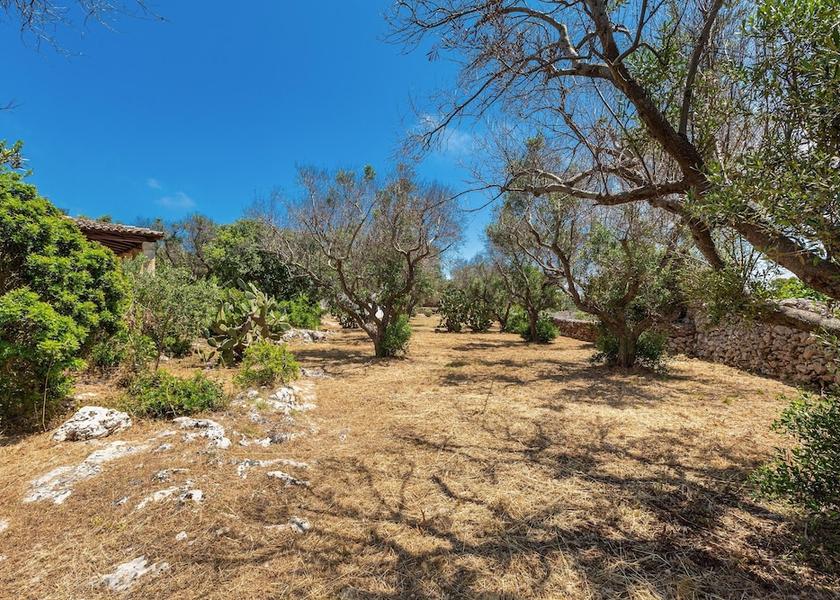Puglia Castrignano del Capo Property Grounds