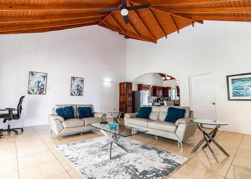 Saint Ann Runaway Bay Room