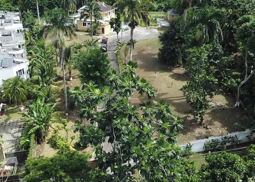 Saint James Montego Bay Exterior Detail