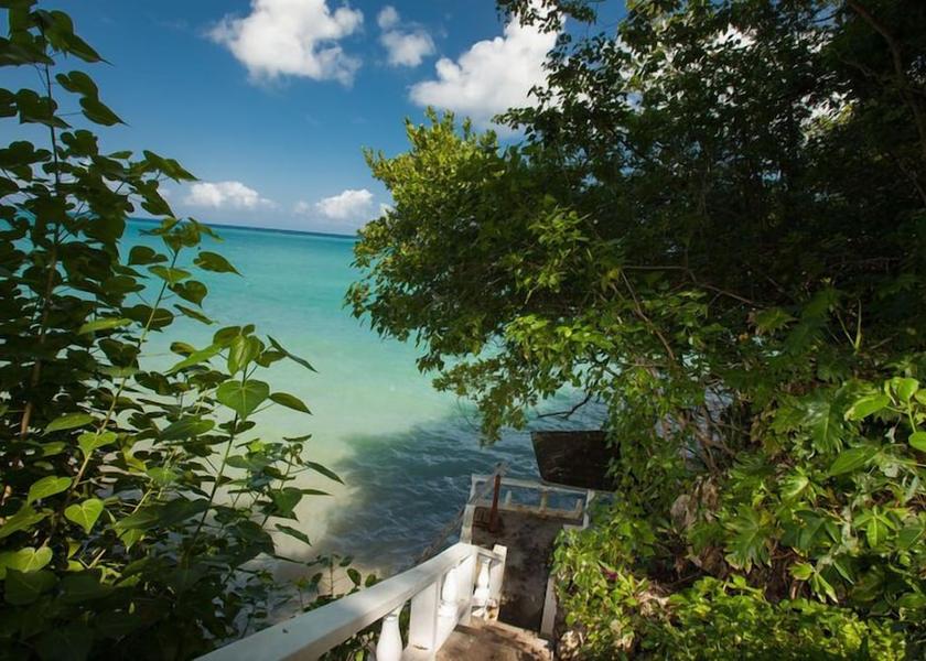 Saint Ann Ocho Rios View from Property
