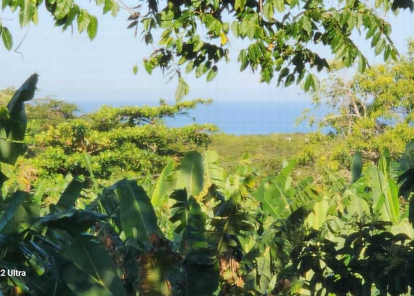 Saint James Montego Bay Facade