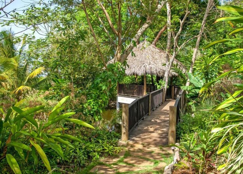 Saint James Montego Bay Gazebo