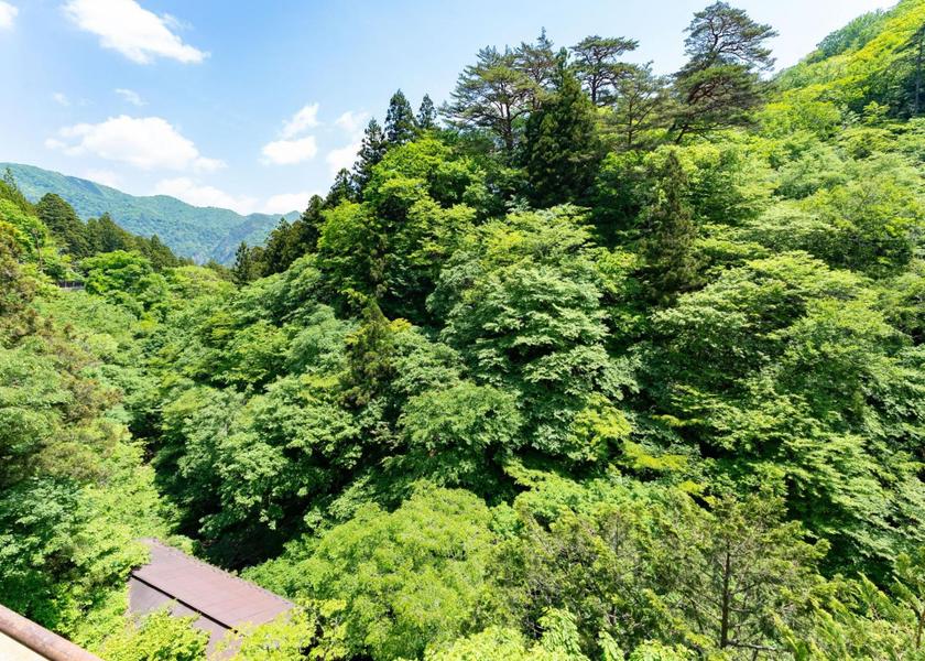 Tochigi Nasushiobara View