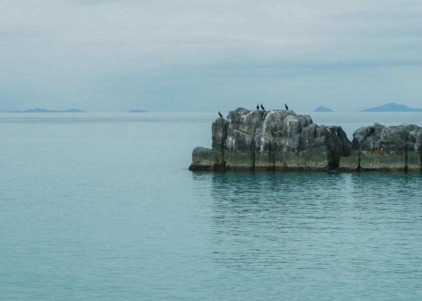 City View from Property