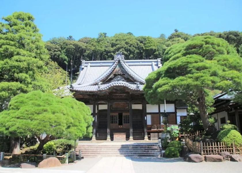 Land View from Property