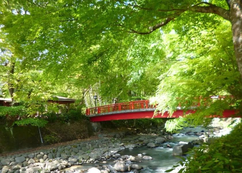 Land View from Property