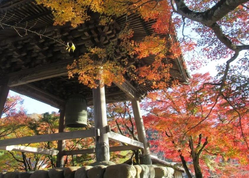 Land View from Property