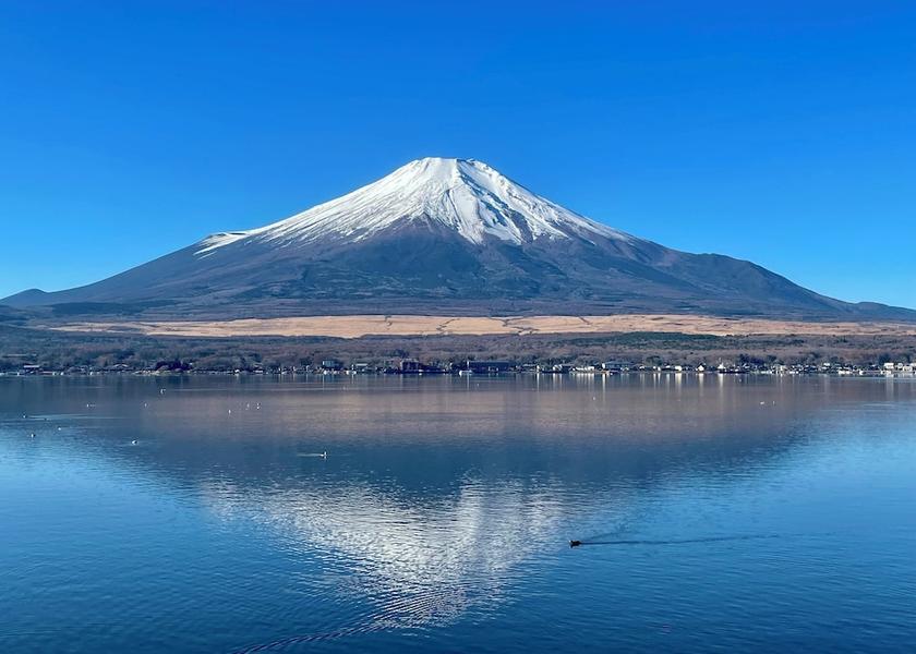 Land View from Property