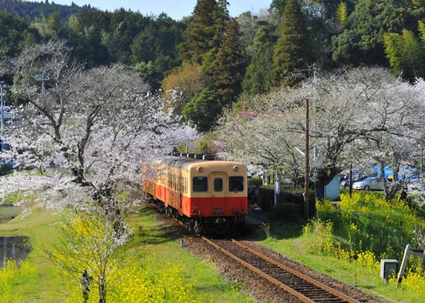 Chiba Ichihara Land View from Property