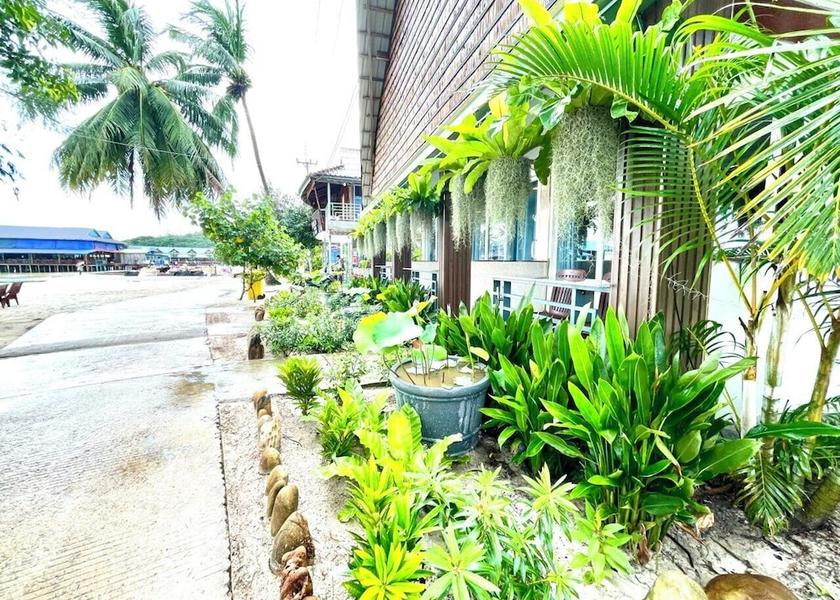 Koh Kong Koh Rong Terrace