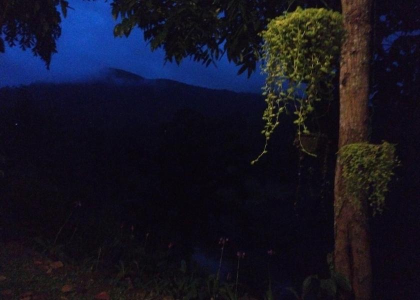 Matara District Deniyaya Property Grounds