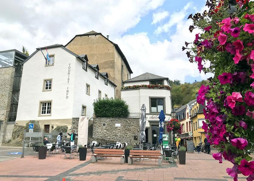 Walloon Region Clervaux Land View from Property
