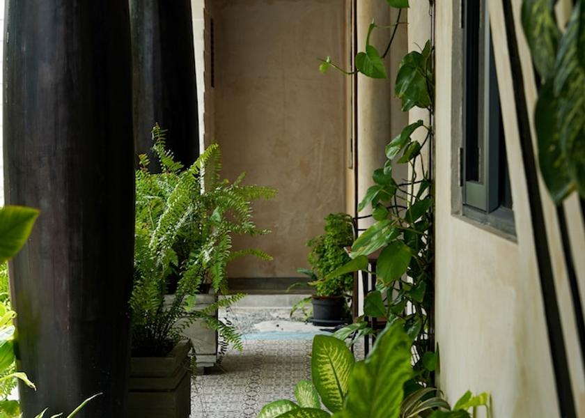 Kaafu Atoll Maafushi Interior detail
