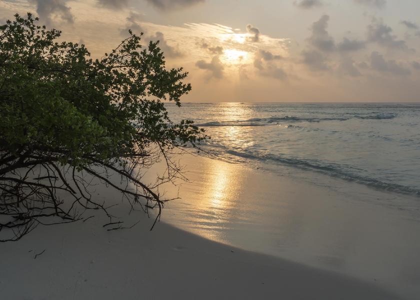 North Ari Atoll Rasdhoo 