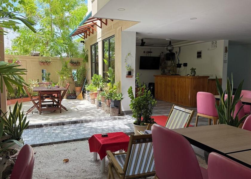 North Ari Atoll Bodufolhudhoo Terrace/patio