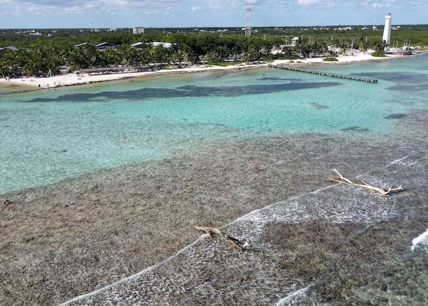 Quintana Roo Mahahual Beach