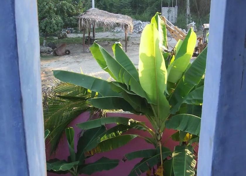 Nayarit Sayulita View from Property