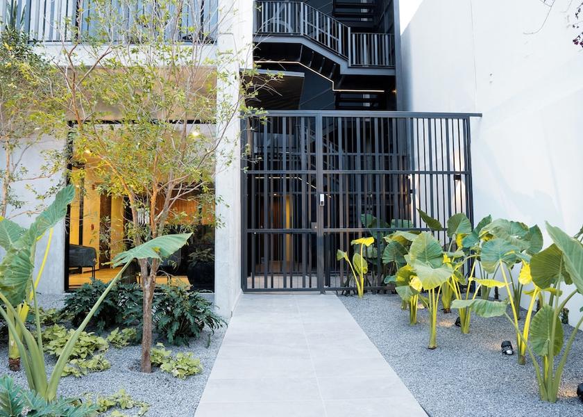 Jalisco Guadalajara Entrance